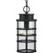 Progress Lighting Port Royal Collection One-Light Hanging Lantern with DURASHIELD P550061-031 - alternate 1